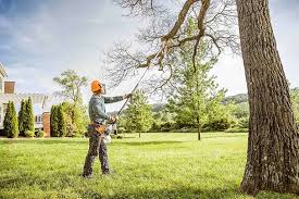 Landscape Design and Installation in Jemison, AL