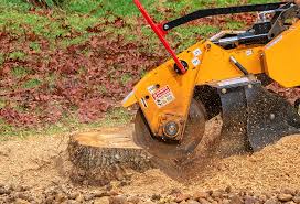 How Our Tree Care Process Works  in  Jemison, AL